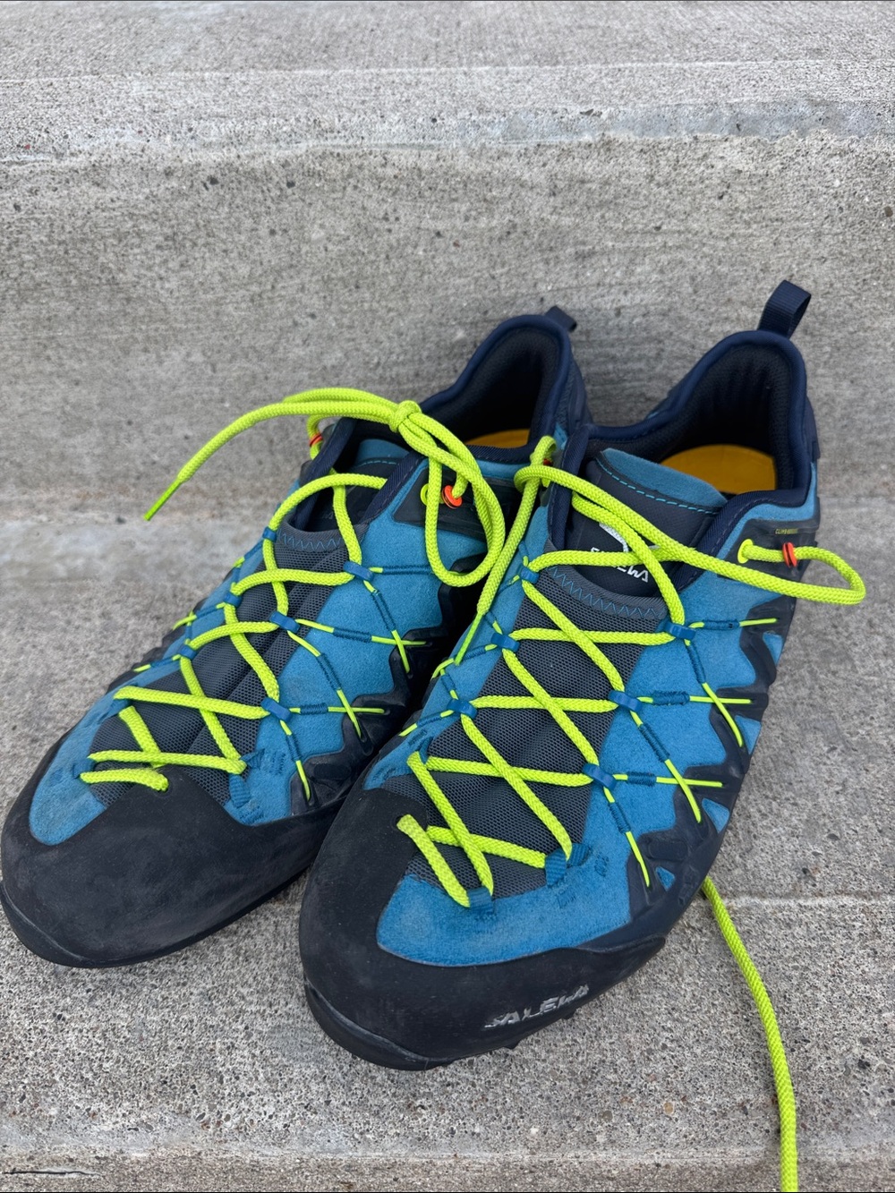 Men's Evolv Wildfire Edge Approach Shoes Salewa